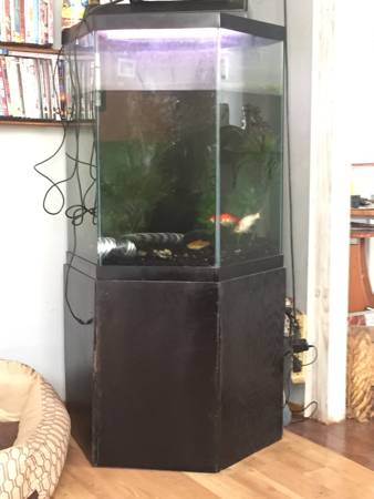 Octagon fish tank with fish and filter (Ancorage)