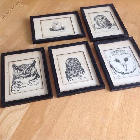 Owls Pictures 5x 7 Black amp White