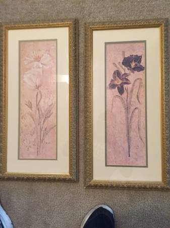 Pair of framed Floral Prints