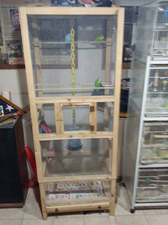 parakeets and flight cage (north ridgeville)