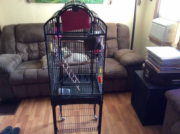 Parrot bird cage, 75 (Auburn)