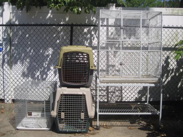 Parrot Bird Cage Rabbit Cage Dog Crate (Nashville, NC)