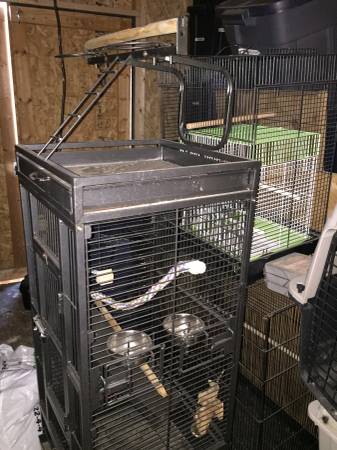 Parrot Cage (Wasilla)