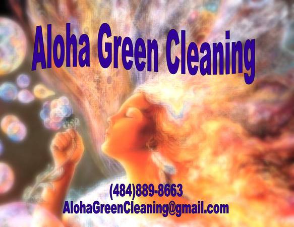 Part time cleaner needed. Chemical free (Chester County)