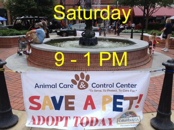 Pet Adoptions Saturday on Broadway Down Town From 9 AM until 1 PM (Broadway Down Town Accross from The Loft)
