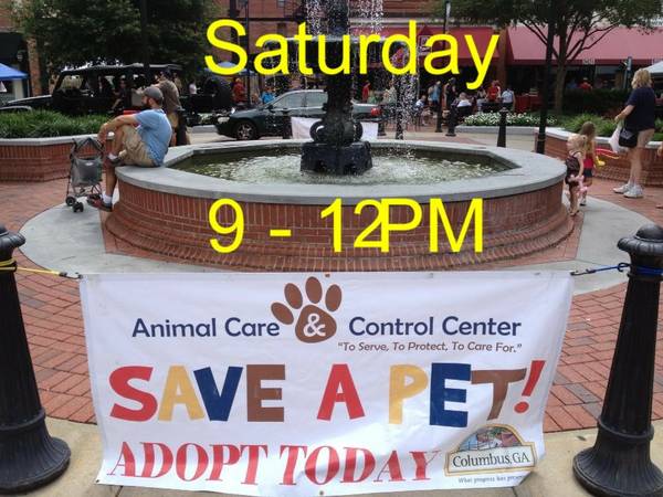 Pet Adoptions Saturday on Broadway Down Town From 9 AM until 12 PM (Broadway Down Town Accross from The Loft)