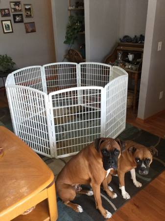 Pet Pen (Boise)