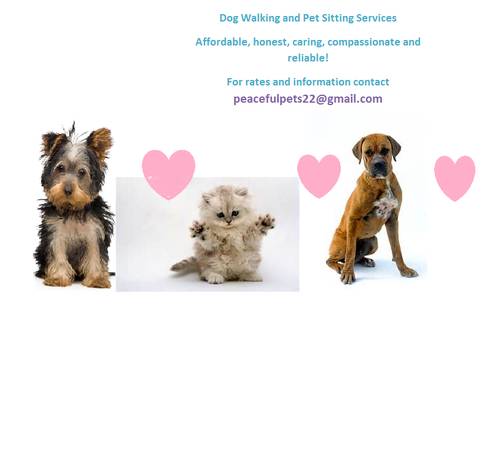 Pet Sitting and Dog Walking at an AFFORDABLE price (denver area)