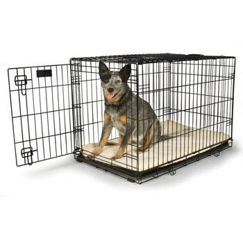 Petco Dog Crate Waterproof Crate pad (Southington)
