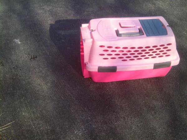 Pink Pet Taxi (mechanicsville)