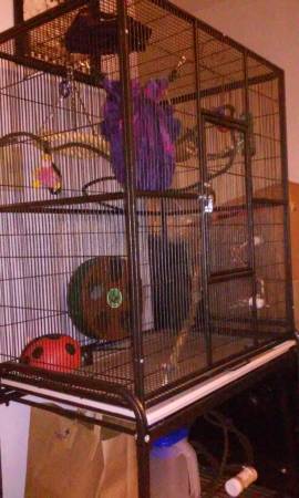 6 ft tall big bird cage (Pepperell)