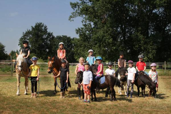 PONY GANG SUMMER CAMP (Camden)