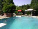 POOL GIRL position and light yard work guy position (plymouthwayzata)