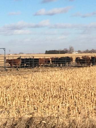 PORTABLE CORRAL FOR ROUNDUP (Kearney, NE)