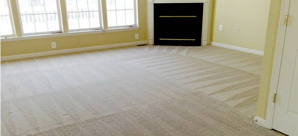 Professional Carpet Steam Cleaning (Metro amp Surrounding Areas)