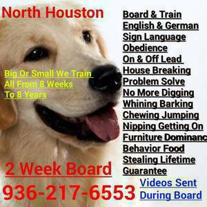 professional dog training limited time (Houston)