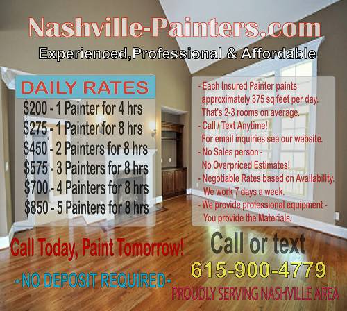 Professional Painter (interiorexterior)