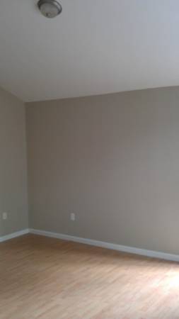 professional painting (metairie, new orleans, kenner)