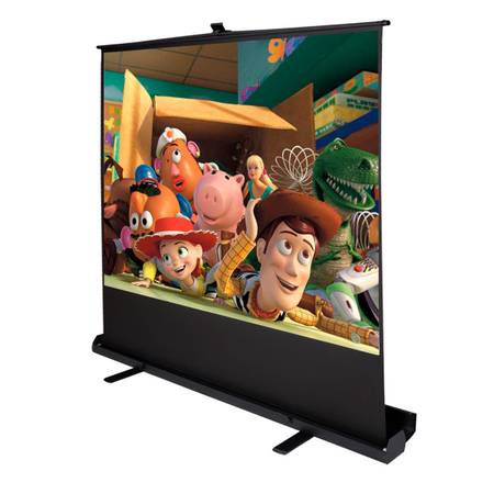 Projector amp Screen Rental for Birthday and Luau (Oahu)