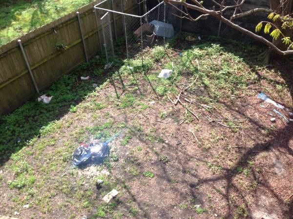 Quick Backyard Cleanup Help (Garden District)
