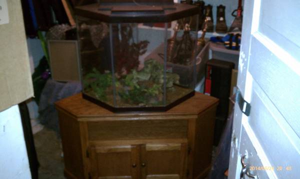 quintagonal 49 gallons fish tank and stand (south mpls)