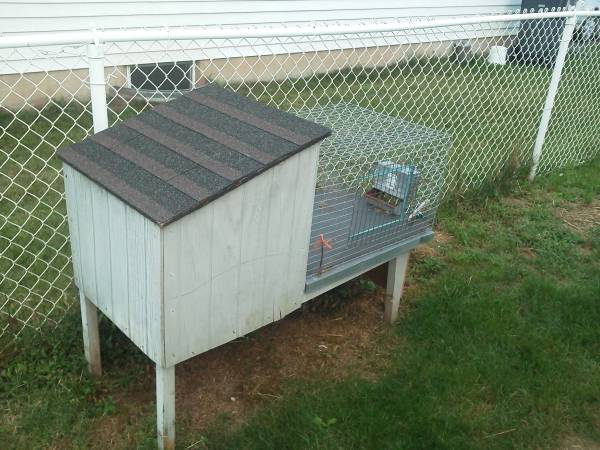 Rabbit Hutch 50 (Bridgewater)