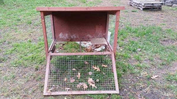 Rabbit HutchChicken Coop (Windham)