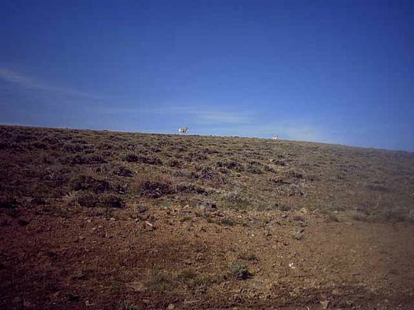Rare 10 acre parcel on South Pass, Wyoming (Atlantic City, WY)