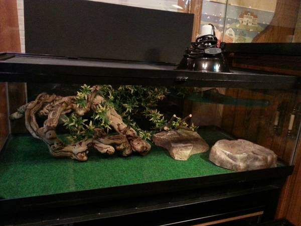 Repile Tank with accessories bearded dragon or lizard cage (anoka)