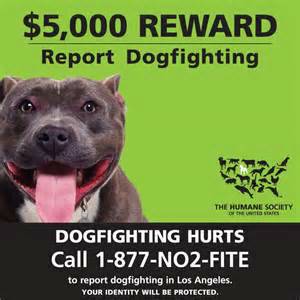 REPORT DOG FIGHTING 5,000 REWARD (Nevada)