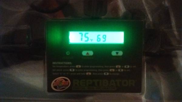 reptibator digital incubator (Hendersonville)