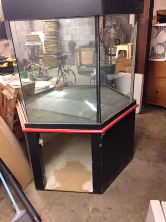 Reptile hexagon tank 300 gallon (Denver)