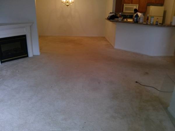 ResidentialComercial Cleaning   Carpet Cleaning  Interior Painting (Oakland  Macomb Counties)