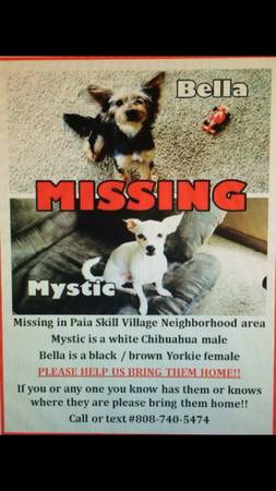 reward for return of missing dogs (Paia)