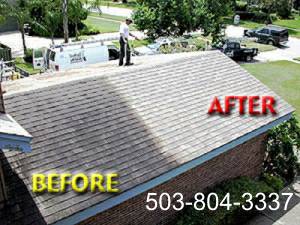 ROOF CLEANING (beaverton)