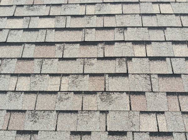 Roof Shingles Loosing Granules Should you worry (Casper)