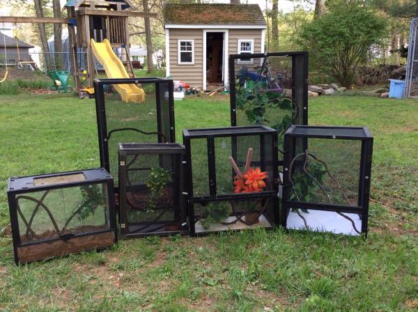 Screen reptile cages various sizes (East Windsor)