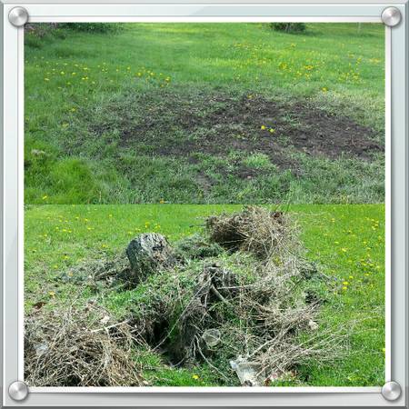 Shrub and tree stump removal CLEAN OUT GALORE LLC