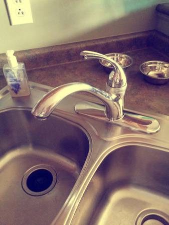 Sink Work. Replace Faucet. 75 (Murfreesboro)