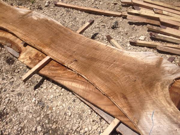 Slabs of Monkeypod wood lumber planks mango slab lychee woods (Kaneohe)