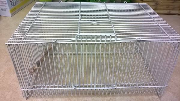 small birds travel cage