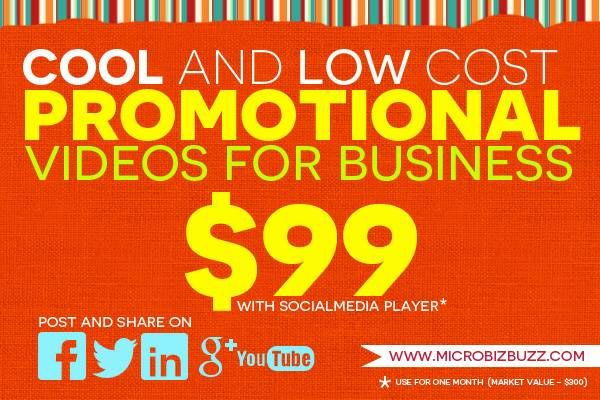 Small Business Owner...Need a Promotional Video Great Design amp Price (San Francisco)