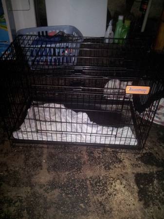 small cage (dundalk)
