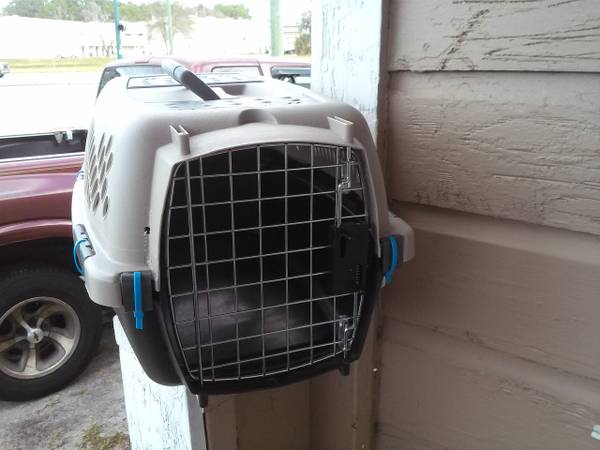 small petmate pet taxi 15 (Altamonte Springs)