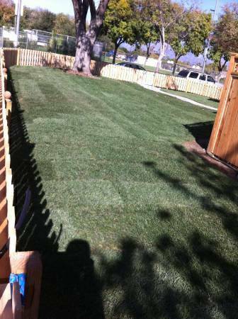 Sod Installation amp Removal  Hedge Trimming, Bark Install (South King Co.)