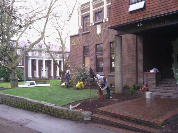 Sod Install,Paver Patios,Walkways amp Haul Offs by General Contractor (Uw,Sand Point Way,Wallingford,Leschi,Ravenna)