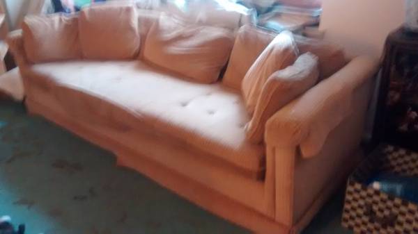 Sofa for Basement or First Apartment