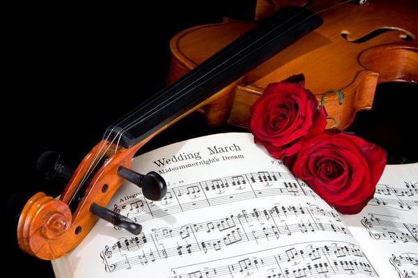 Solo Violin or ViolinCello Duo available for Weddings (Richmond)