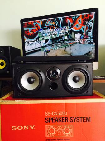 Sony Speaker System, tweeter and woofers