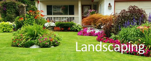 South Orlando Landscaping as low as  70 per month (South Chase, Deerfield, Pepper)